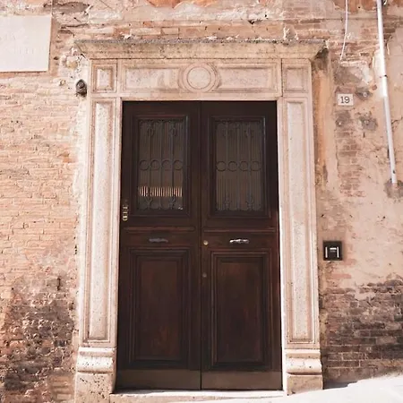 Stella 19