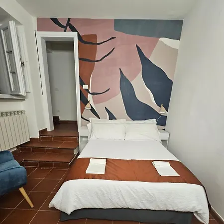 Stella 19 Perugia