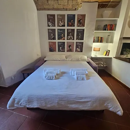Stella 19 * Perugia